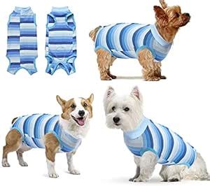 KUTKUT Recovery Suit for Small Dog, Surgical Recovery for Abdominal ...