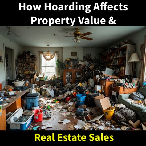 Mold Solutions & Inspections LLC | hoarding and real estate sales