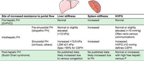 Non-invasive evaluation of portal hypertension using ultrasound elastography - Journal of Hepatology