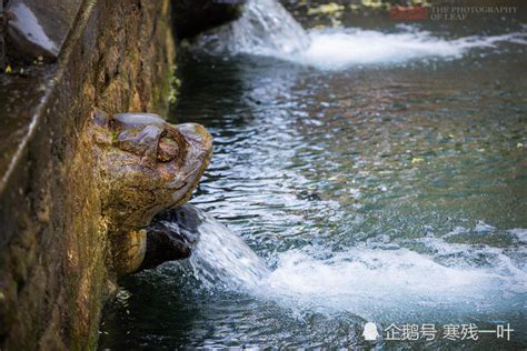 泉城济南被称为永不停喷的千年古泉，竟然停水了，真相让人无语