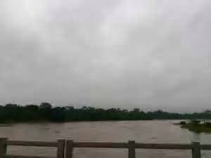 Heavy Rainfall Triggers Alert in Balasore: Rivers Near Danger Levels
