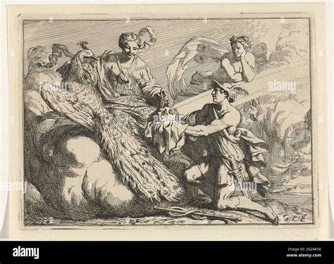 Juno and the peacock; History of Argus. The hundred-eyed giant Argus ...