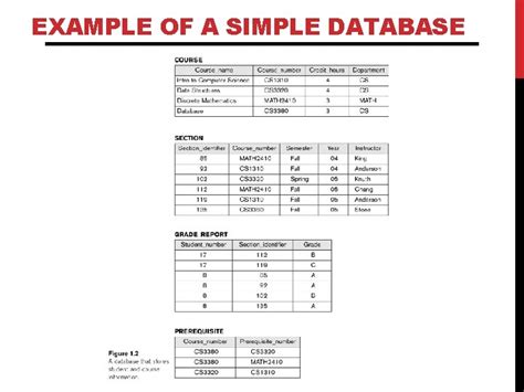 Image result for Database File Sample
