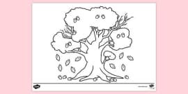 Banyan Tree Colouring Sheet | Colouring Pages | EYFS & KS1