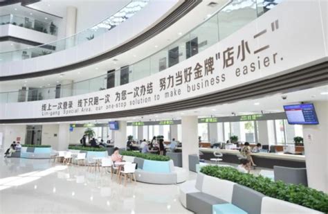 上海临港新片区发布“证照联办”改革，一个窗口即可办理营业执照和许可证件|界面新闻