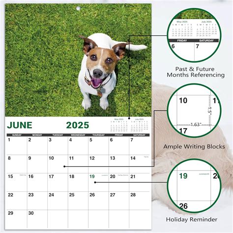 Indeme 2025 Calendar - Gag Gifts, Dogs Calendar 2025, Jan. India | Ubuy