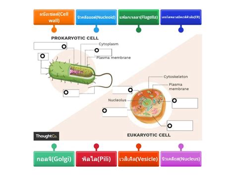 Learning Biology 的图像结果