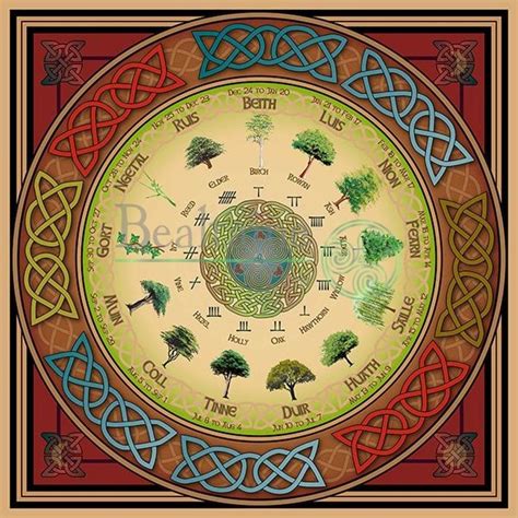 Ogham Tree Calendar | Celtic tree calendar, Celtic tree, Ogham