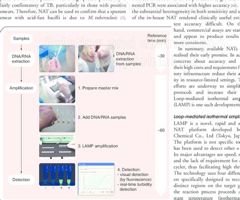 Lamp Technology 的图像结果