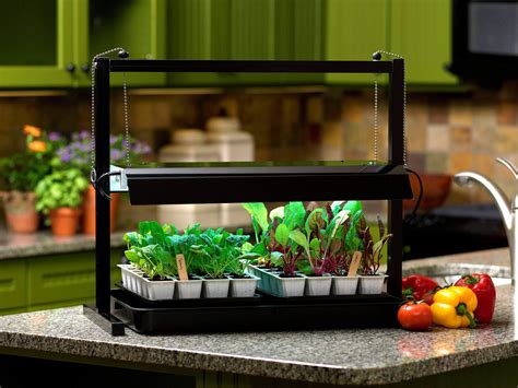 Homemade Grow Lights at James Pearson blog