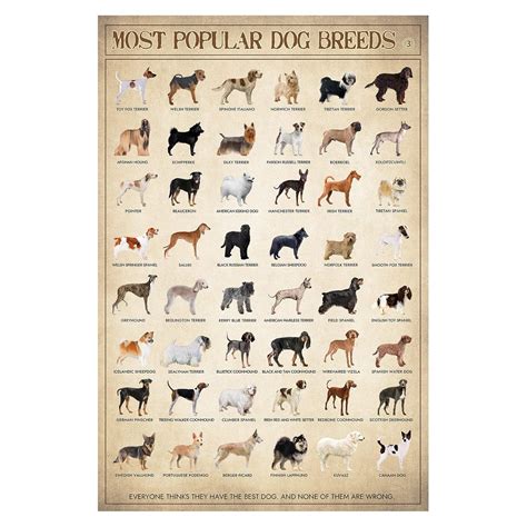AOCOOAO Dog Breeds Wall Art, Vintage Dog Knowledge Poster, Breeds of ...