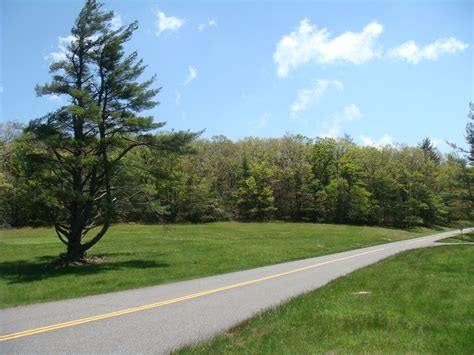 City Side View 的图像结果