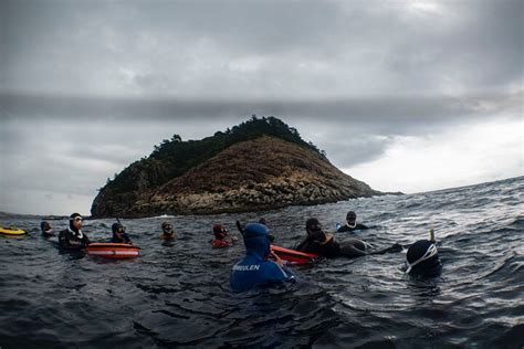 JEJU FREEDIVING CLUB "DPER FREEDIVING" (2026) All You Need to Know ...