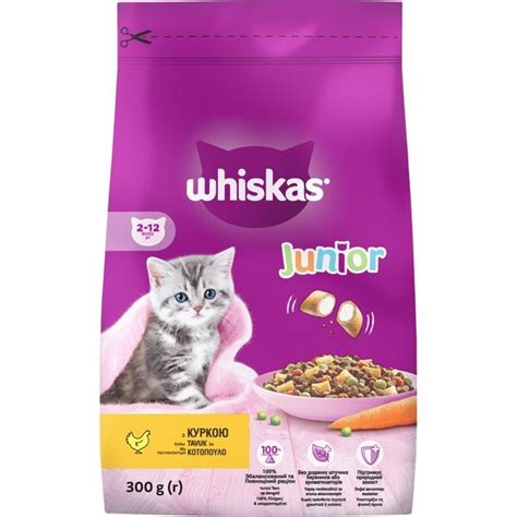 Image result for Simple Banner Using HTML/CSS