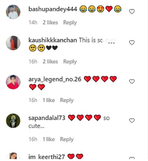 Baby monkey plays with chicks in cute viral video. Watch - Trending ...