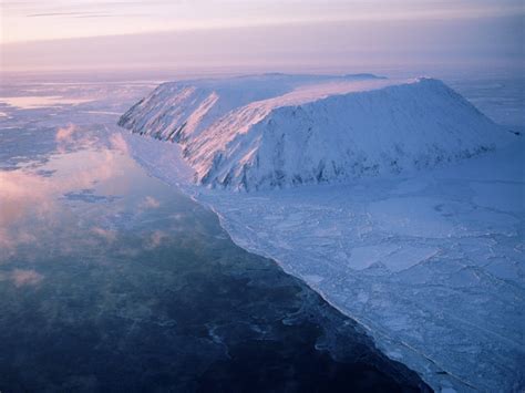 Arctic Tundra Winter