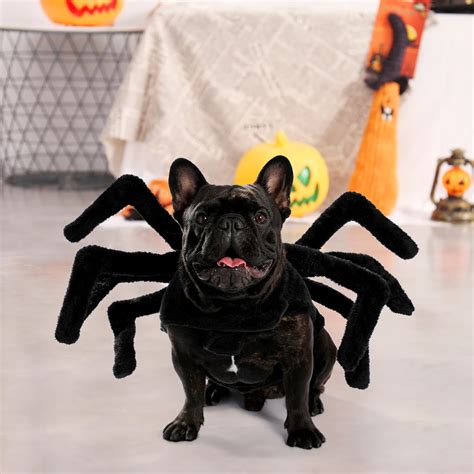 Dog Spider Costume