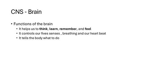 Nervous System - Interactive Presentation