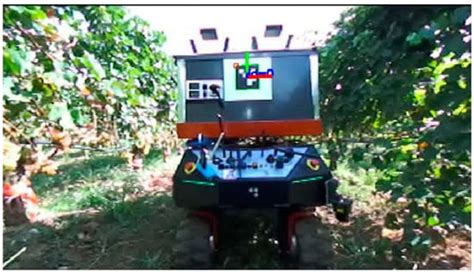 Cooperative Grape Harvesting Using Heterogeneous Autonomous Robots