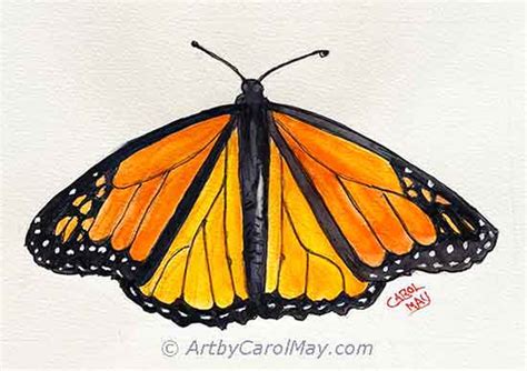 Image result for Butterfly Painting Tutorial