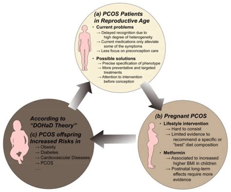 Polycystic Ovary Syndrome: Challenges and Possible Solutions