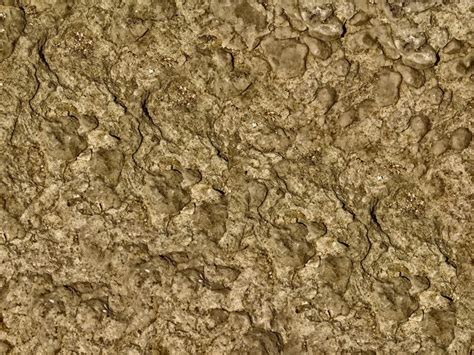 Image result for Earth Blocks Texture