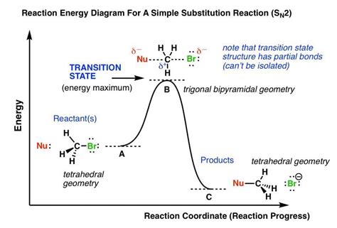 what is transition state of a reaction - Brainly.in