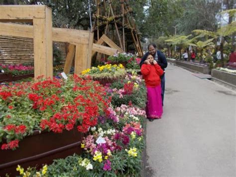 Flower Exhibition Centre, gangtok, India - Top Attractions, Things to ...