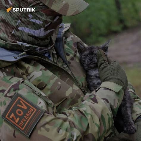 Behind the Scenes of Russia’s Special Military Operation in Ukraine