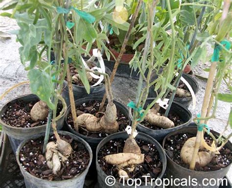 Image result for Windows Security Log Quick Reference Chart