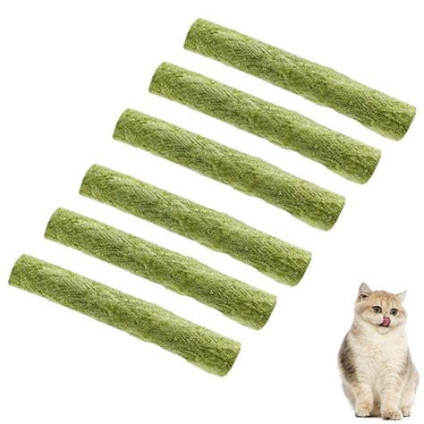 Cat Grass Teething Stick Chew Sticks For Cats Kittens Cat | Desertcart ...