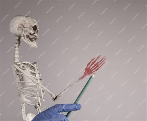 Premium Photo | Doctor hand pointing to skeleton fingers with red point joints inflammation ...