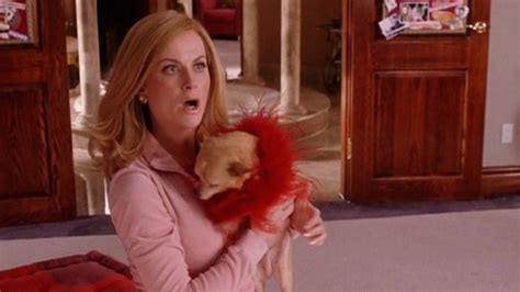 'Mean Girls' Anniversary: 16 of Amy Poehler's Iconic 'Cool Mom' Moments