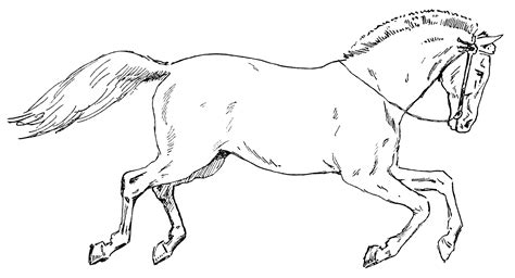 Free Horse Clip Art, Download Free Horse Clip Art png images, Free ...