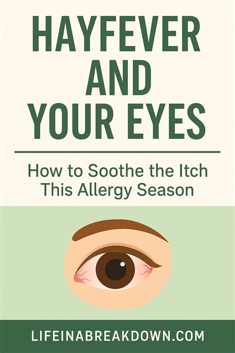 Hayfever and Your Eyes: How to Soothe the Itch This Allergy Season - Life in a Break Down