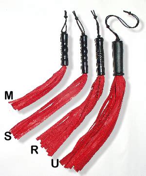 Image result for Flogging Basic Techniques