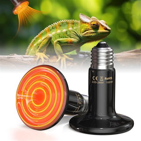 Reptile Heat Lamp