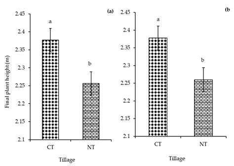 Carbon Input and Maize Productivity as Influenced by Tillage, Crop ...