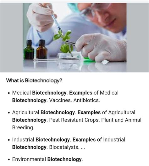 Biotechnology Examples 的图像结果