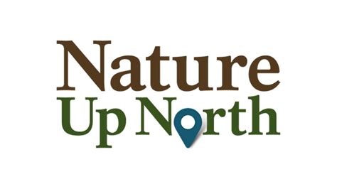 Exclusive: The Inside Scoop On The Leolulu Leaks - Truth or Fiction