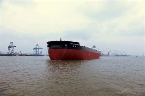 PACIFIC EXCELLENCE, Bulk Carrier - Details and current position - IMO ...
