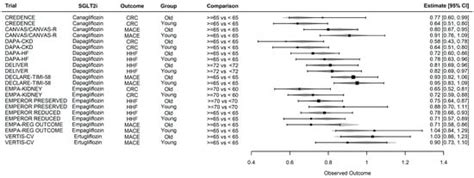 Chronic Kidney Disease in the Older Adult Patient with Diabetes