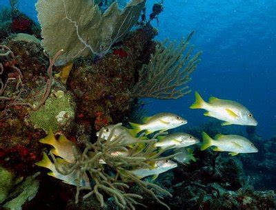 Cayo Largo Tourism (2024): All You Need to Know Before You Go