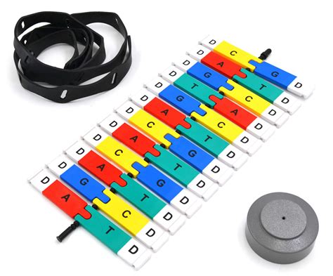 DNA Model Kit 的图像结果