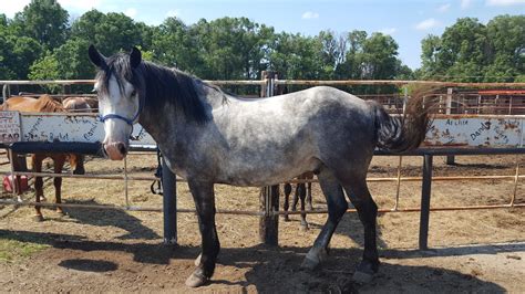 MISSOURI VALLEY VET - COMMERCE - Bismarck ND - Hours, Directions ...
