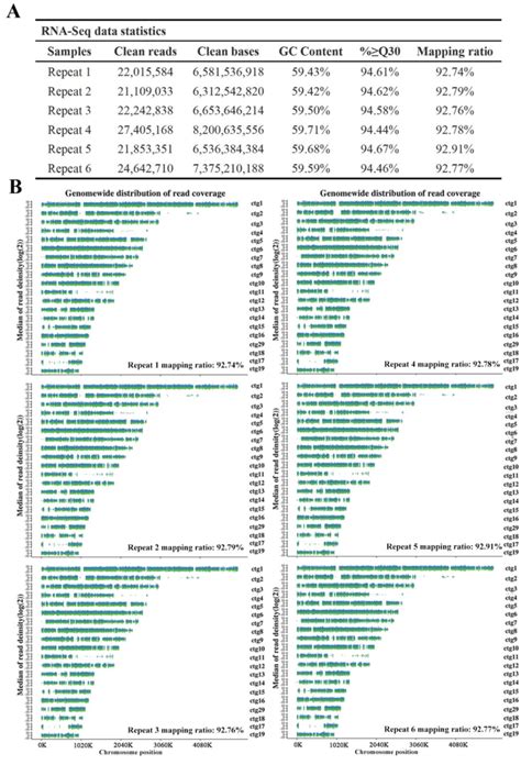 RNA Transcript Graph 的图像结果