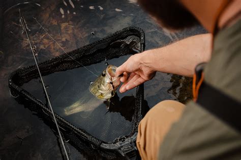 Work Sharp Reviews 的图像结果