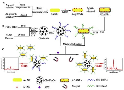 Aptamer-Modified Magnetic Beads in Biosensing