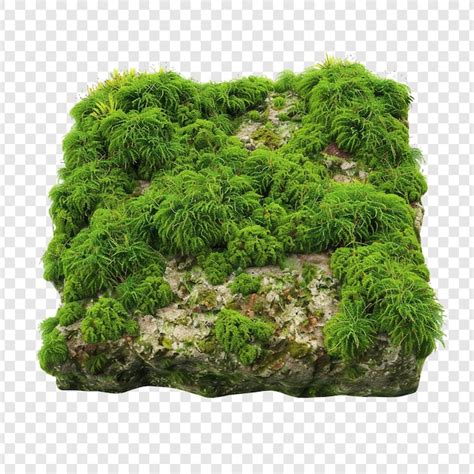 Green mossy rock texture | Premium AI-generated PSD