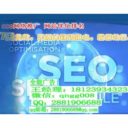 公司做seo网络推广（公司seo推广营销网站） - 全网营销 - 种花家资讯